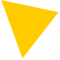 O360-yellow-triangle